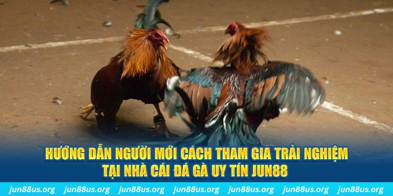 qq886 loi game dot kich ket noi may chu that bai