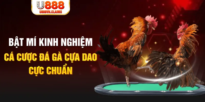 qq886 xổ số miền nam xổ số miền nam