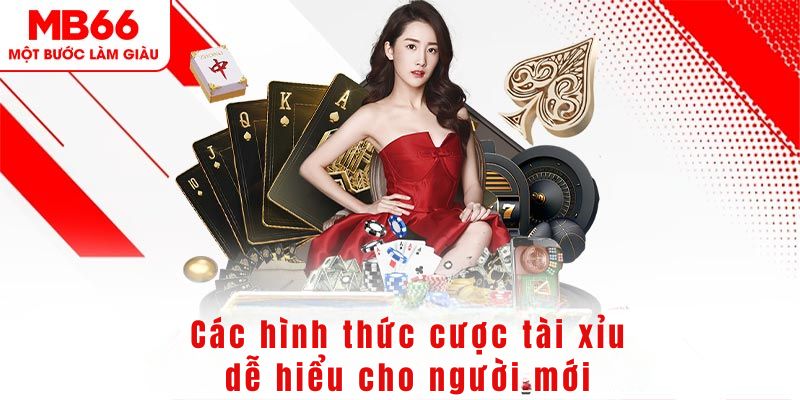 qq886 DG Trực Tuyến