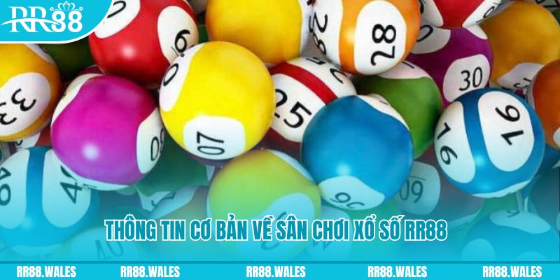 qq886 đá gà hôm nay