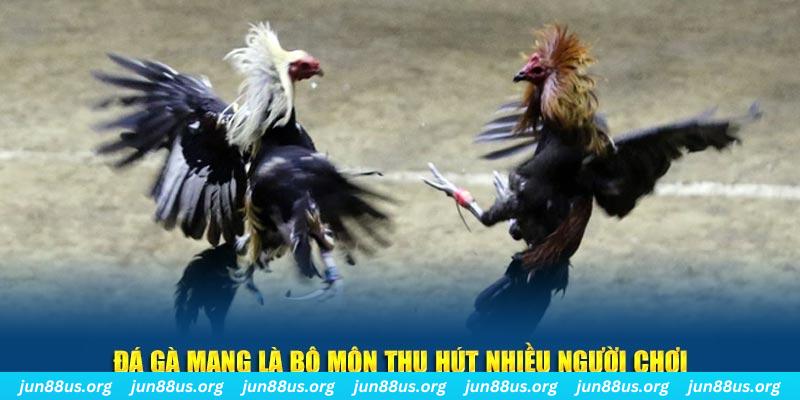 qq886 đăng nhập lô đề hàng đầu