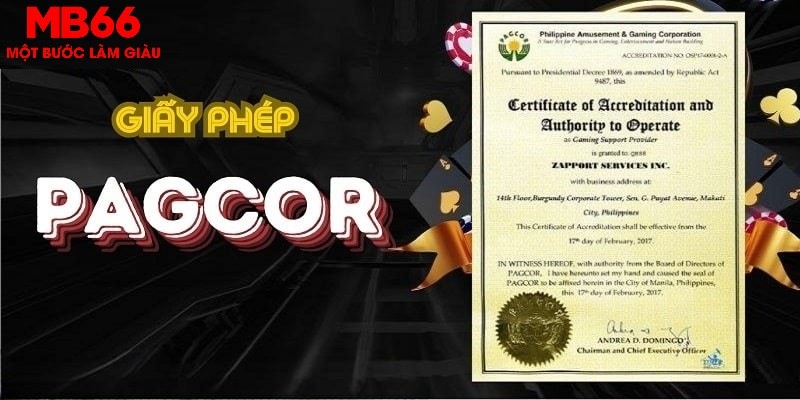 qq886 Bữa tiệc dành cho thanh thiếu niên