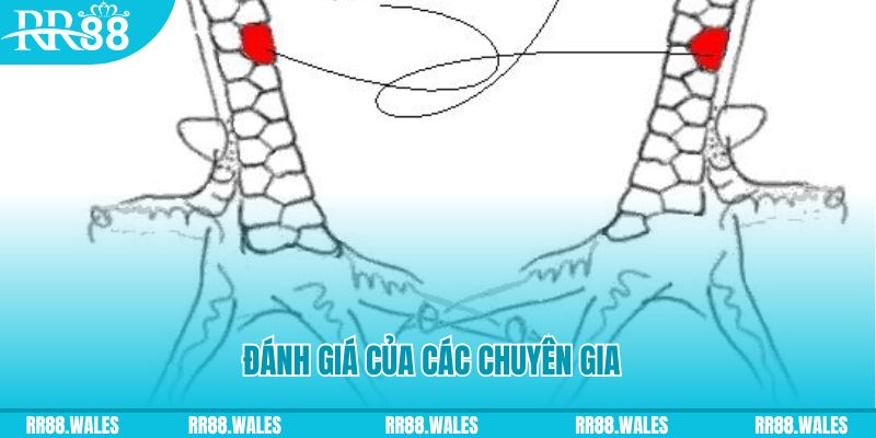 qq886 V8 Game Bài 3d