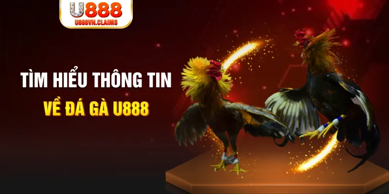 qq886 đăng nhập tiến lên miền nam hàng đầu