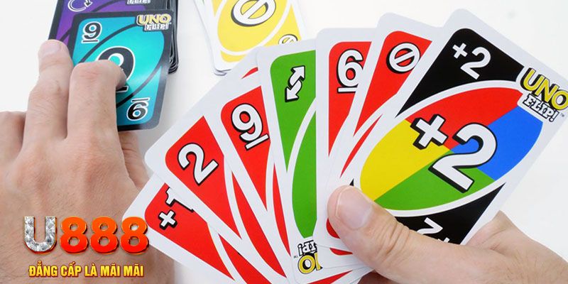 qq886 gà chọi cu cần