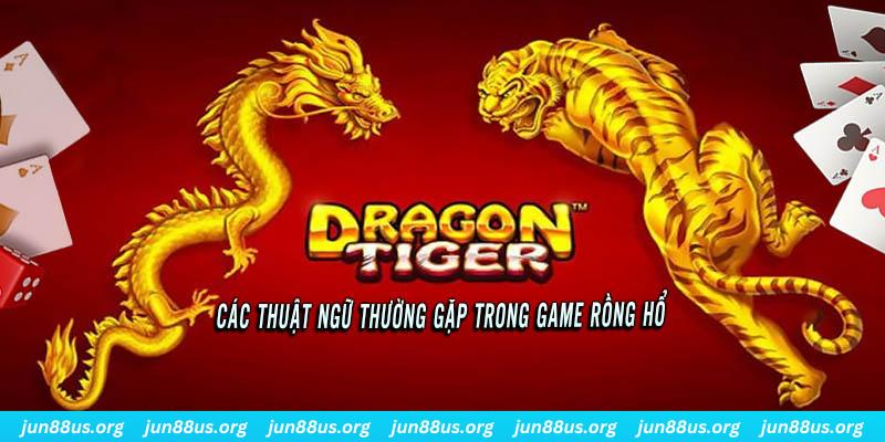 qq886 ÁT CHỦ BÀI ĐẤU ĐỊA CHỦ