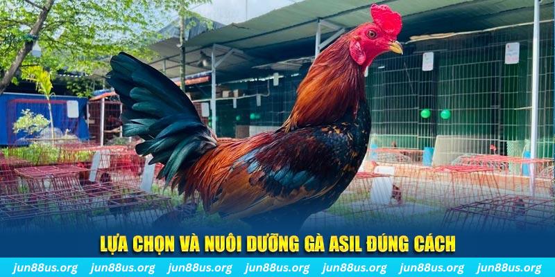 qq886 xổ số đài bắc