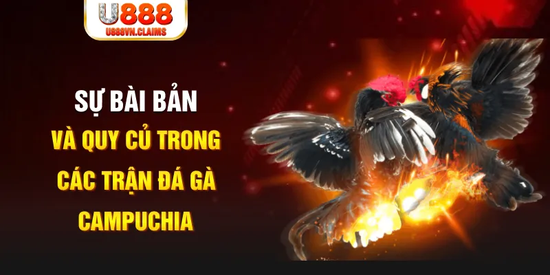 qq886 PG Điện Tử