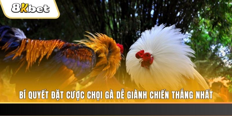 qq886 xổ số thứ hai hàng tuần