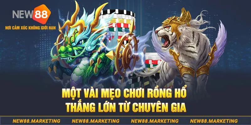 qq886 slot machine là gì