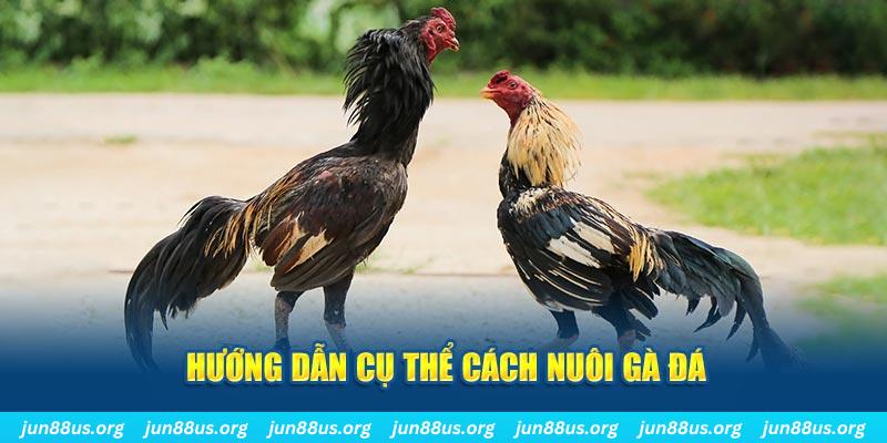 qq886 đăng nhập sòng bạc số 1