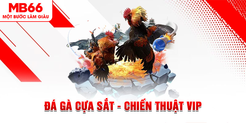 qq886 xổ số trực tiếp hôm nay