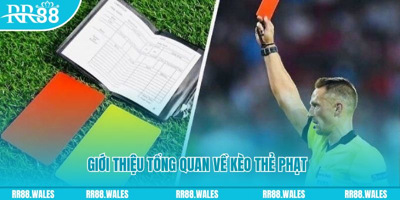 qq886 những ai nên chơi nổ hũ