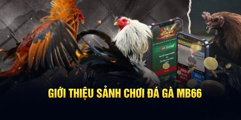 qq886 đăng nhập poker hôm nay