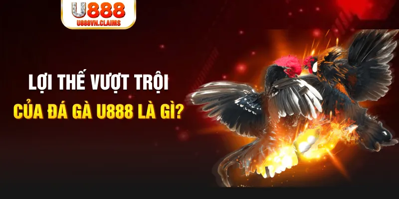 qq886 168G Điện Tử