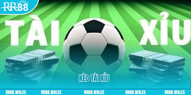 qq886 gà chọi hoà phong